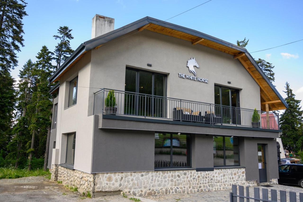 The White Horse Apartments Borovets Eksteriør bilde